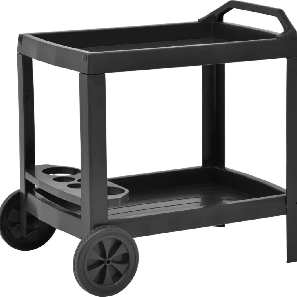 vidaXL Trolleys> Dranktrolley 69X53X72 Cm Kunststof Antraciet