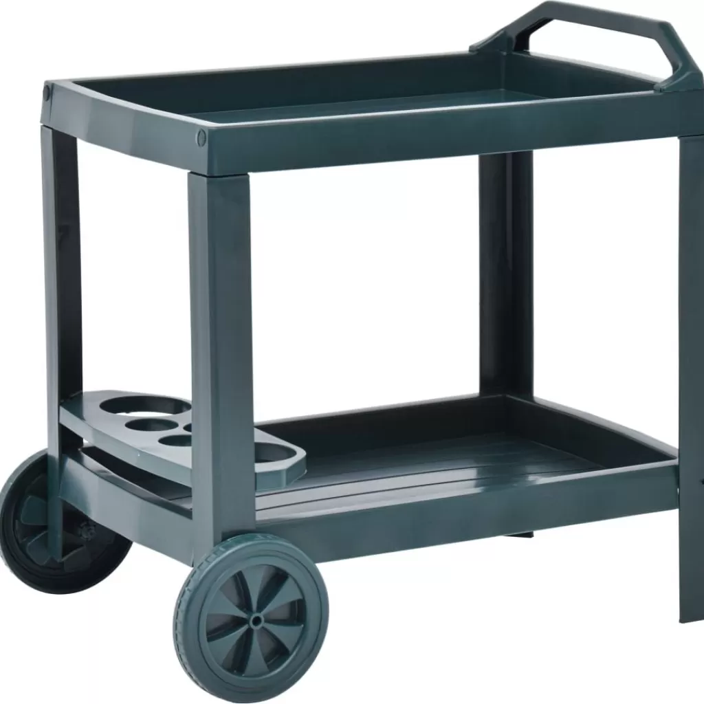 vidaXL Trolleys> Dranktrolley 69X53X72 Cm Kunststof Groen