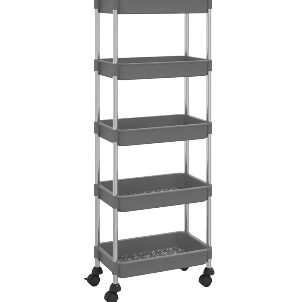 vidaXL Trolleys> Keukentrolley 5-Laags 42X29X128 Cm Ijzer En Abs Grijs